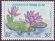 Colnect-342-356-Water-Lily.jpg