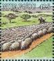 Colnect-4777-256-Sheep-flock.jpg