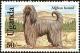 Colnect-6297-276-Afghan-Hound.jpg