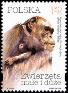 Colnect-5496-371-Chimpanzee.jpg