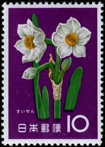 Colnect-5526-373-Narcissus.jpg