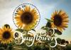 Colnect-6314-374-Sunflowers.jpg