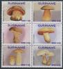 Colnect-5085-674-Mushrooms.jpg