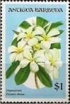 Colnect-1987-975-Frangipani.jpg