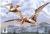 Colnect-4868-375-Pteranodon.jpg