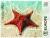 Colnect-5895-761-Starfish.jpg