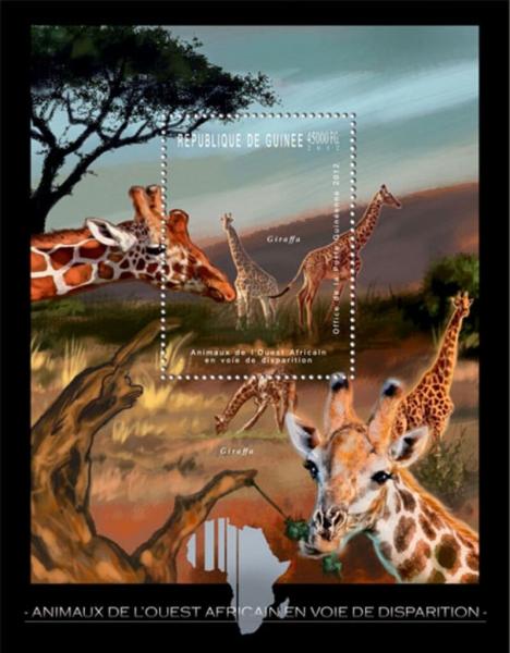 Colnect-6479-783-Giraffes.jpg