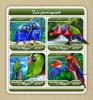 Colnect-4919-789-Parrots.jpg