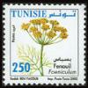 Colnect-566-799-Fennel.jpg