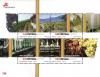 Colnect-1363-847-Madeira-Wine.jpg