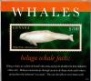Colnect-4926-327-Beluga-Whale.jpg