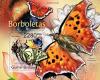 Colnect-5413-967-Butterflies.jpg