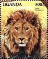 Colnect-5621-637-Panthera-leo.jpg