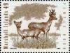 Colnect-6197-187-Pampas-deer.jpg