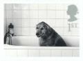 Colnect-123-457-Dog-in-Bath.jpg