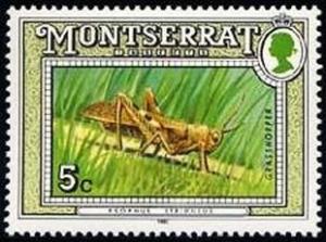 Colnect-3473-897-Grasshopper.jpg