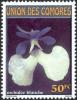 Colnect-6055-827-White-orchid.jpg