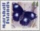 Colnect-3470-877-Great-eggfly.jpg