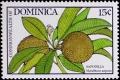 Colnect-2247-583-Sapodilla.jpg