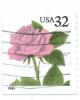 Colnect-4845-384-Pink-Rose.jpg