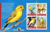 Colnect-4804-859-Canaries.jpg