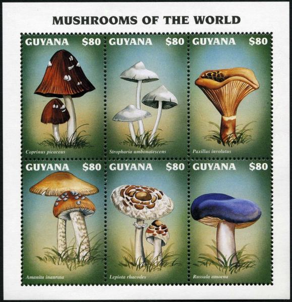 Colnect-3107-485-Mushrooms.jpg