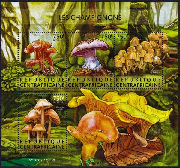 Colnect-5697-485-Mushrooms.jpg