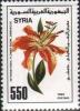 Colnect-2197-685-Tiger-Lily.jpg