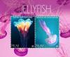 Colnect-4835-386-Jellyfish.jpg