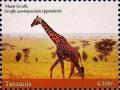 Colnect-4967-860-Giraffes.jpg