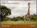 Colnect-4967-862-Giraffes.jpg
