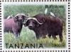 Colnect-4590-487-Buffaloes.jpg