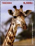 Colnect-4967-871-Giraffes.jpg