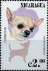 Colnect-6341-788-Chihuahua.jpg