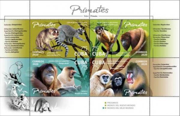 Colnect-7459-895-Primates.jpg