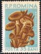 Posta_Romana_-_1958_-_mushroom_35B.jpg