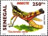 Colnect-1618-998-Grasshopper.jpg