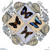 Colnect-6055-208-Butterflies.jpg