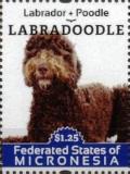 Colnect-5782-078-Labradoodle.jpg