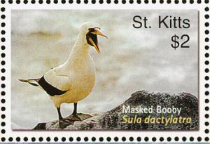 Colnect-1659-418-Masked-Booby.jpg