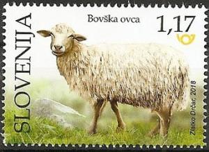 Colnect-5228-148-Bovec-Sheep.jpg