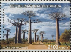 Colnect-5993-128-Baobab-Alley.jpg