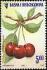 Colnect-1861-548-Prunus-Avium.jpg