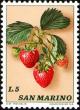 Colnect-1685-848-Strawberries.jpg