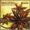 Colnect-1435-390-Star-Anise.jpg