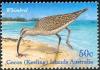 Colnect-746-791-Whimbrel.jpg