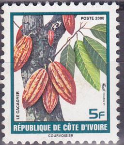 Colnect-4152-091-Cacao-Tree.jpg
