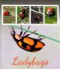 Colnect-3611-916-Ladybugs.jpg