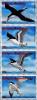 Colnect-4121-392-Sea-Birds.jpg
