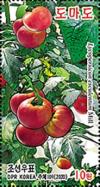 Colnect-6777-937-Tomatoes.jpg